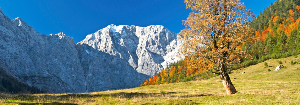 Herbst Herbst